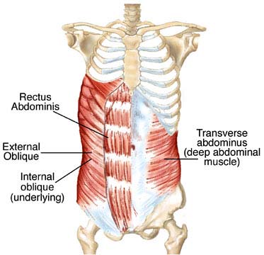 Local core online muscles